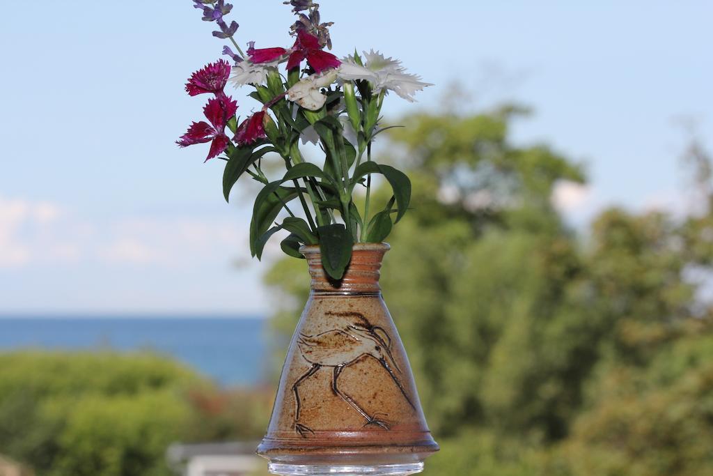 Hotel Zum Strandlaufer Ahrenshoop Cameră foto